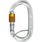 CLIMBING TECHNOLOGY CARABINER PILLAR PRO SGL