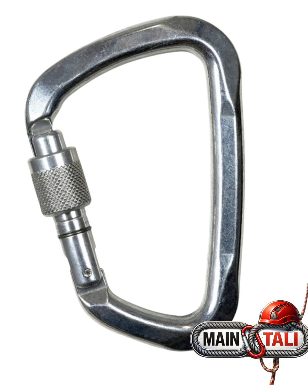 CLIMBING TECHNOLOGY CARABINER LARGE SG