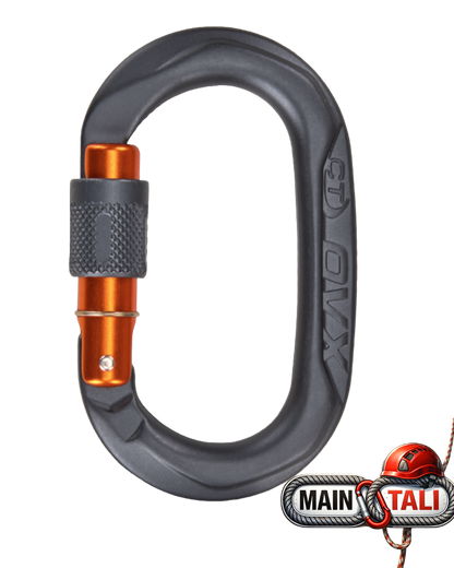 CLIMBING TECHNOLOGY CARABINER OVX SG