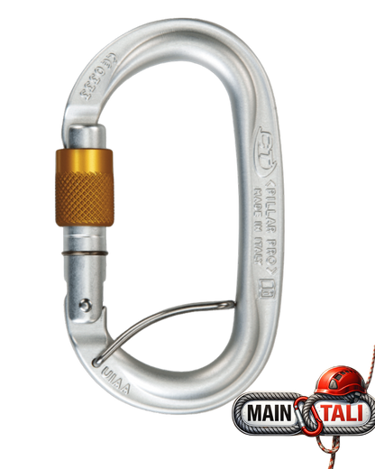 CLIMBING TECHNOLOGY CARABINER PILLAR PRO SGL