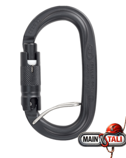 CLIMBING TECHNOLOGY CARABINER PILLAR PRO TGL