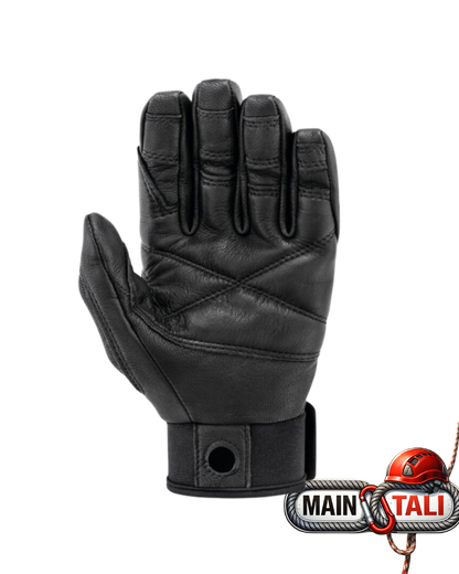 PETZL - CORDEX PLUS Belay/rappel gloves