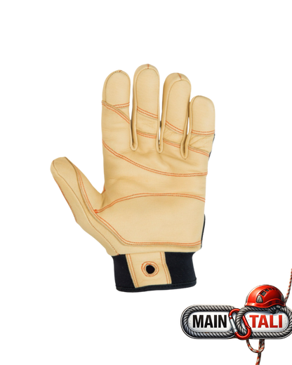 CT TECHNICAL GLOVE PROGRIP PLUS