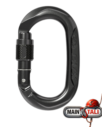 CLIMBING TECHNOLOGY CARABINER OVX SG